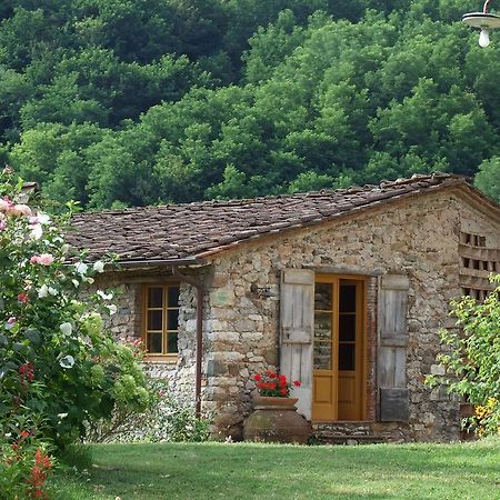 Villa Bottino By Salogi Villas San Martino in Freddana ภายนอก รูปภาพ