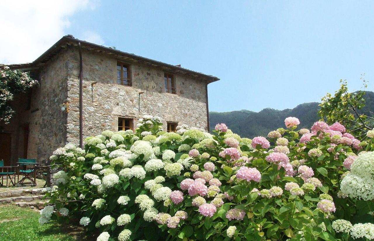 Villa Bottino By Salogi Villas San Martino in Freddana ภายนอก รูปภาพ